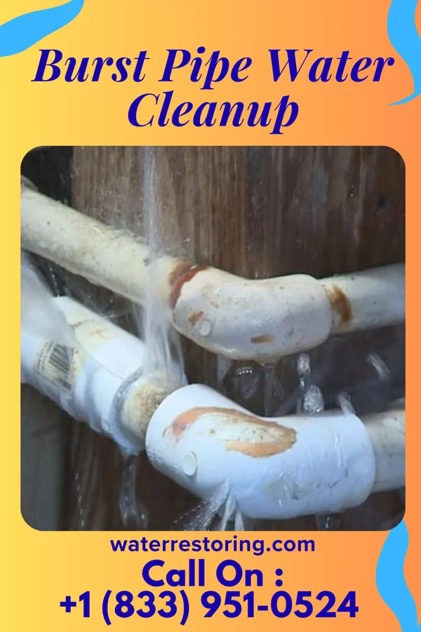 Burst Pipe Water Cleanup in Fairfield University, CT