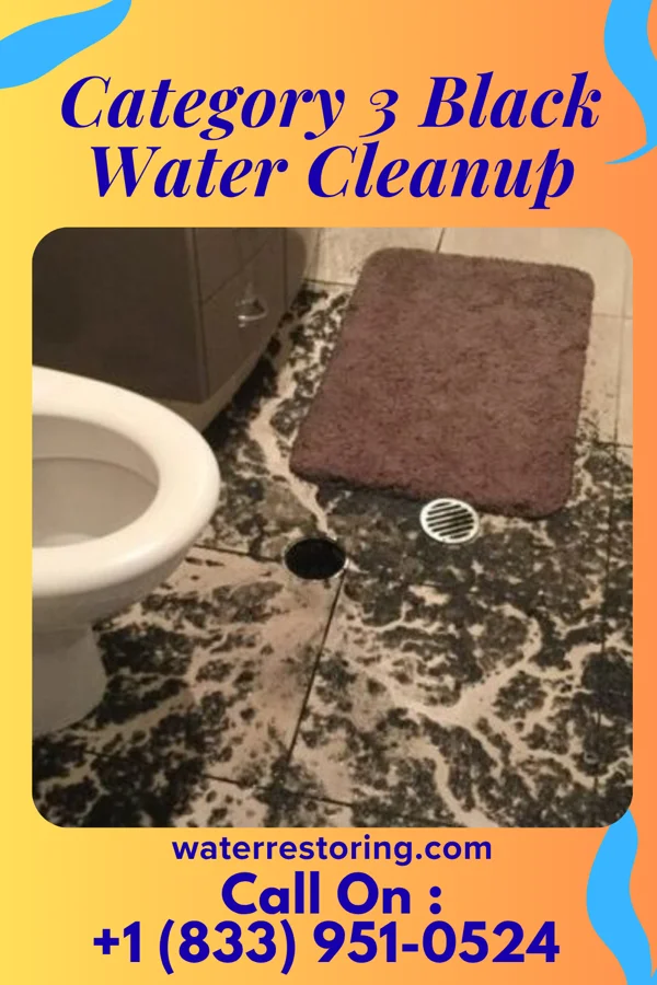 Category 3 Black Water Cleanup in Fairfield University, CT