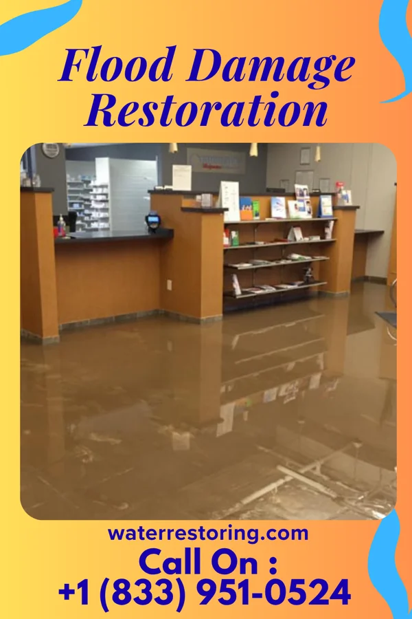Flood Damage Restoration in Fairfield University, CT