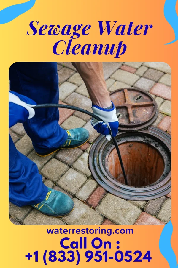 Sewage Water Cleanup in Fairfield University, CT
